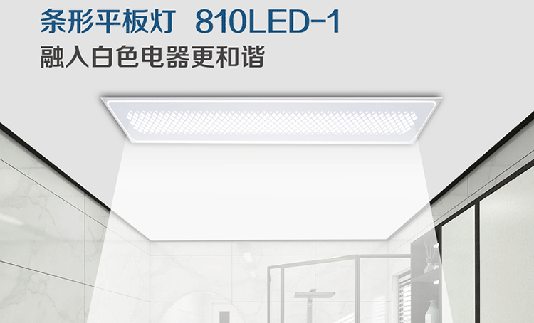 条形平板灯810LED-1